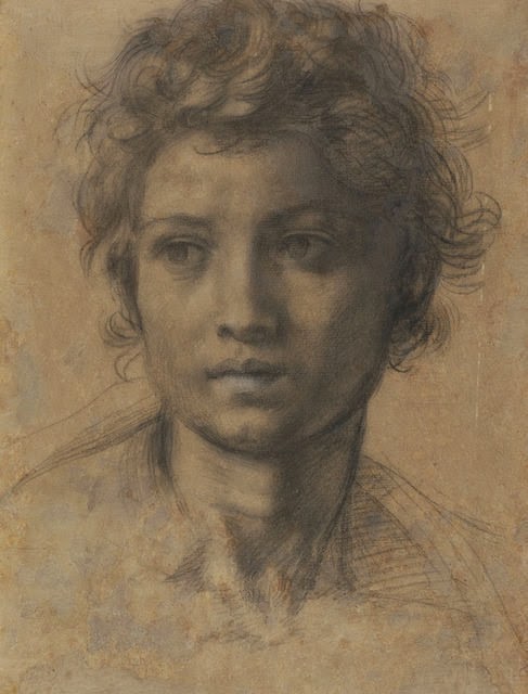 Andrea+Del+Sarto-1486-1530 (10).jpg